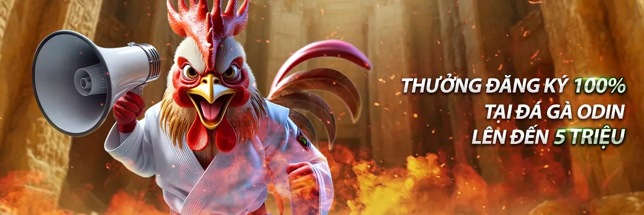 Hoàn trả cược đá gà 99ok Bet